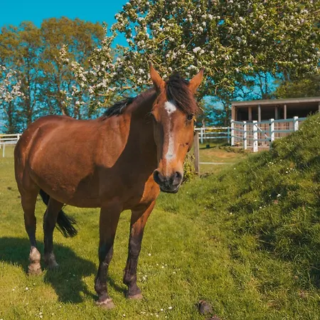 Lejlighed Sahel - Inselhof