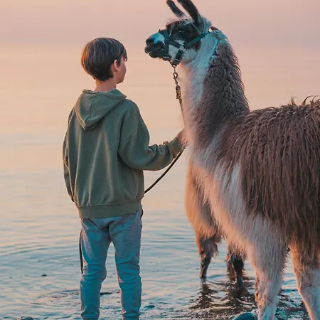 Lejlighed Sahel - Inselhof *