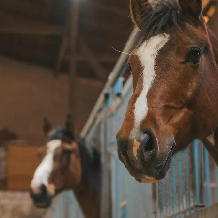 Sahel - Inselhof Lejlighed