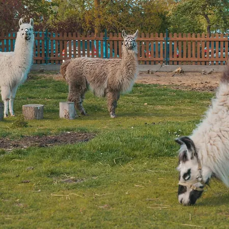 Lejlighed Sahel - Inselhof *