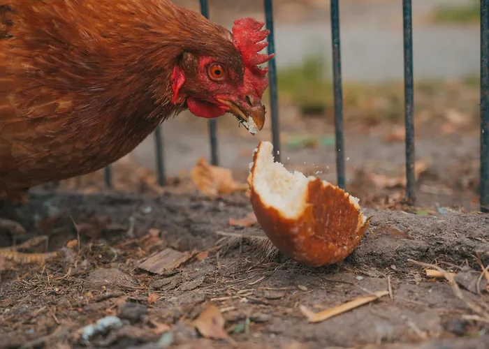 Sahel - Inselhof * فيهمارن